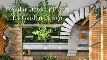 Here is a List of Popular Outdoor Plants for Garden Design