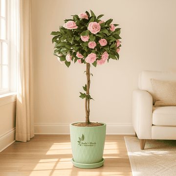 Rare Japanese Camellia Pink