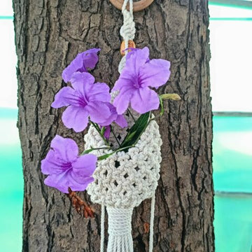 Macrame Plant Hanger Set of 3