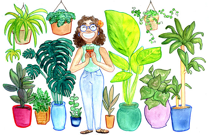 The Mental Health Benefits of Keeping Plants at Home