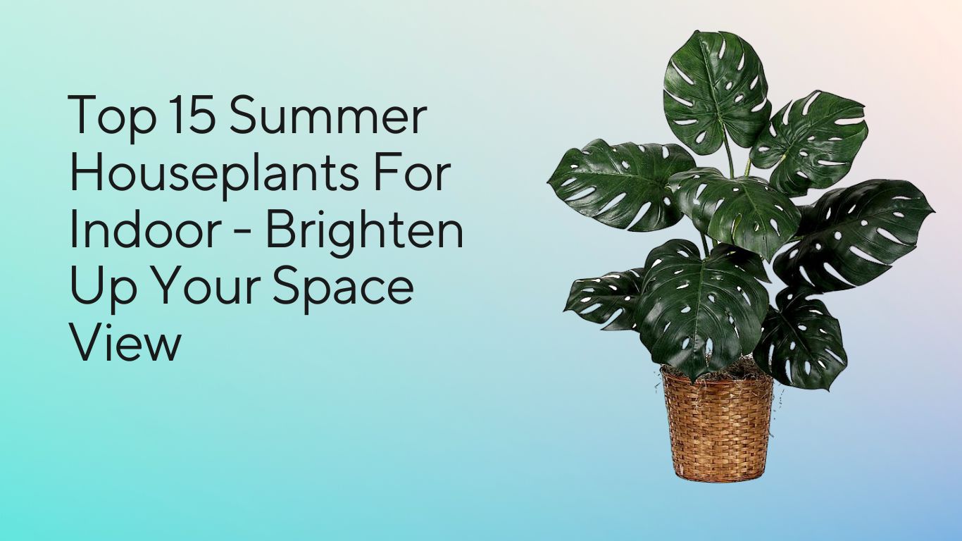 Top 15 Summer Houseplants For Indoor - Brighten Up Your Space