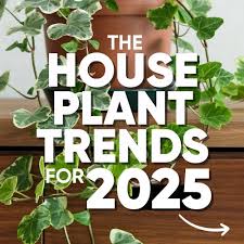 What are new trending plants in 2025