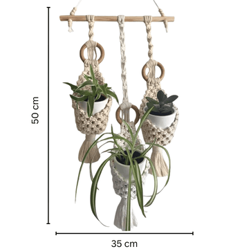Macrame Planter Set | Without Plants and Pots