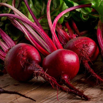 Beet Root F1 Hybrid Seeds