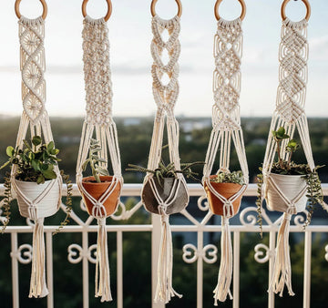 Macrame Planter Set of 5 | Without Plants and Pots