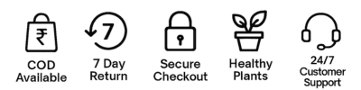 Trust secure badge
