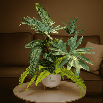 Tropical Green DIY Set in Designer Pot