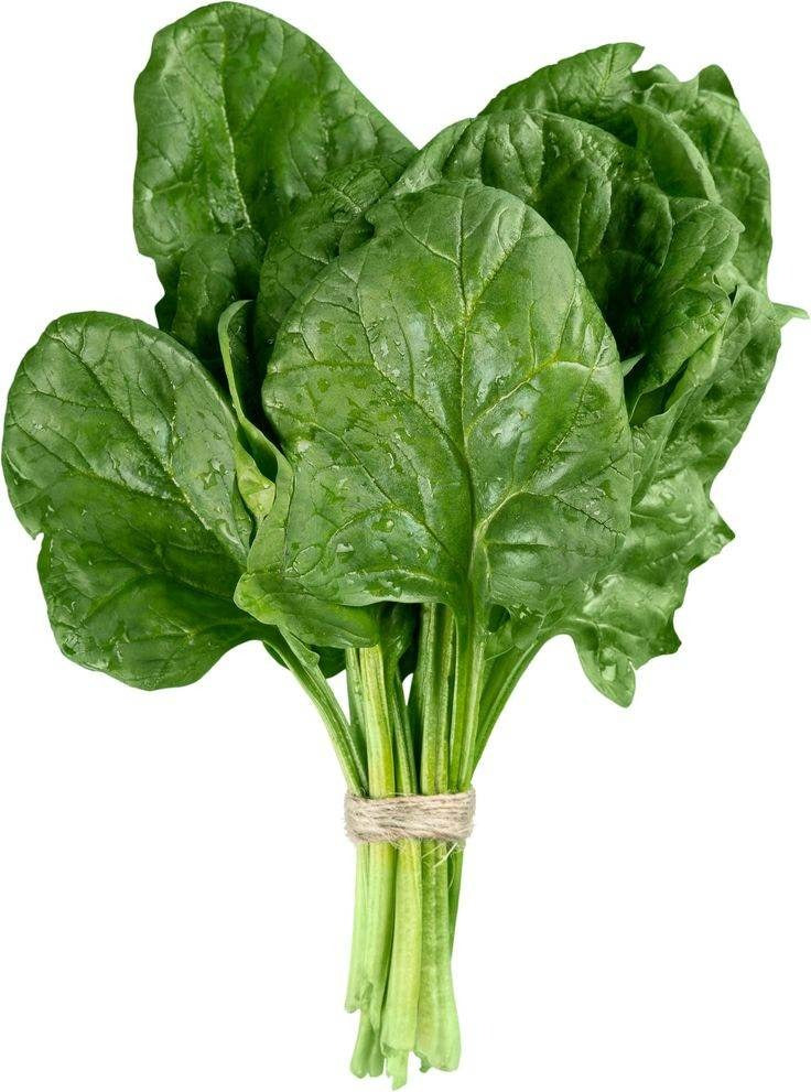 Spinach F1 Hybrid Seeds