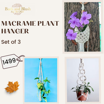 Macrame Plant Hanger Set of 3