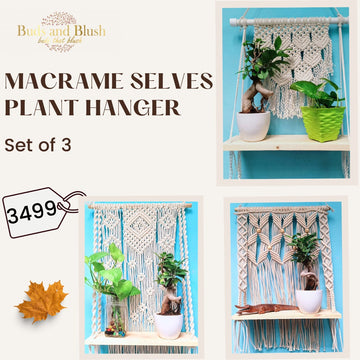 Macrame Selves Plant Hanger Set of 3, Macrame Mania