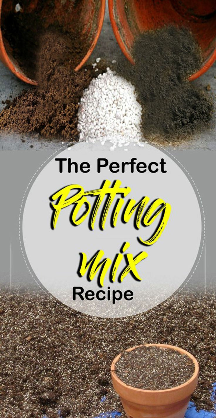 Succulent Potting Mix 1KG / Organic Soil and Fertilizer